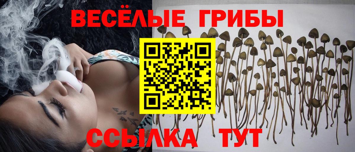Галлюциногенные грибы Magic Shrooms Зеленогорск