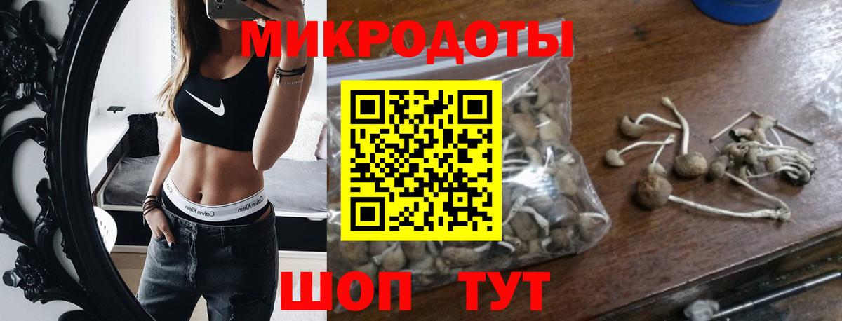 Зеленогорск  Псилоцибиновые грибы мухоморы  Вход с VPN  Галлюциногенные грибы ЛСД 