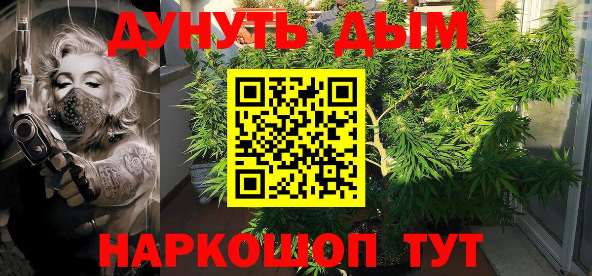 Зеленогорск  Бошки Шишки планчик  МАРИХУАНА Bruce Banner  Бошки Шишки индика  Вход с VPN 